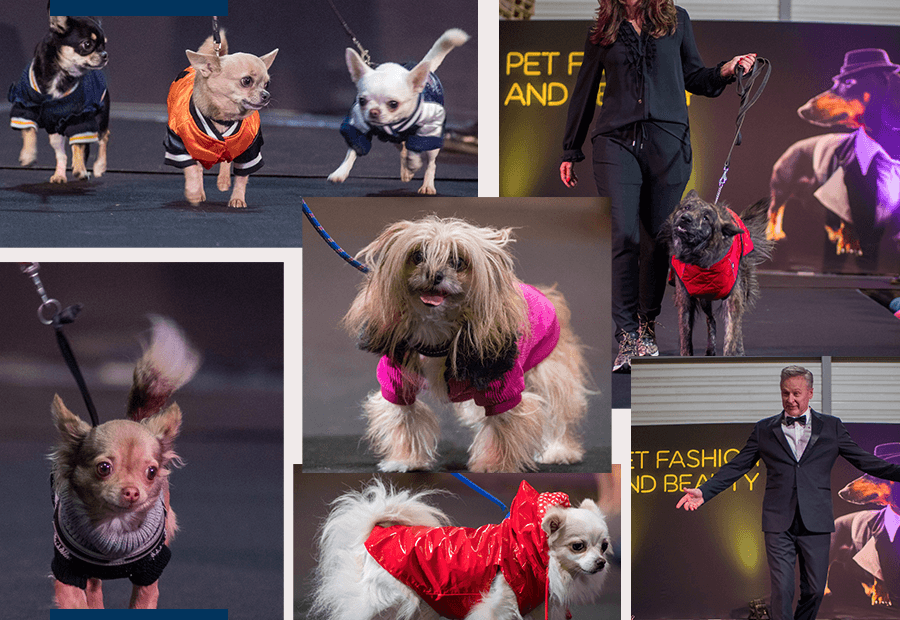 Van Der Meer organiseert Pet and Beauty-dag – & Pro